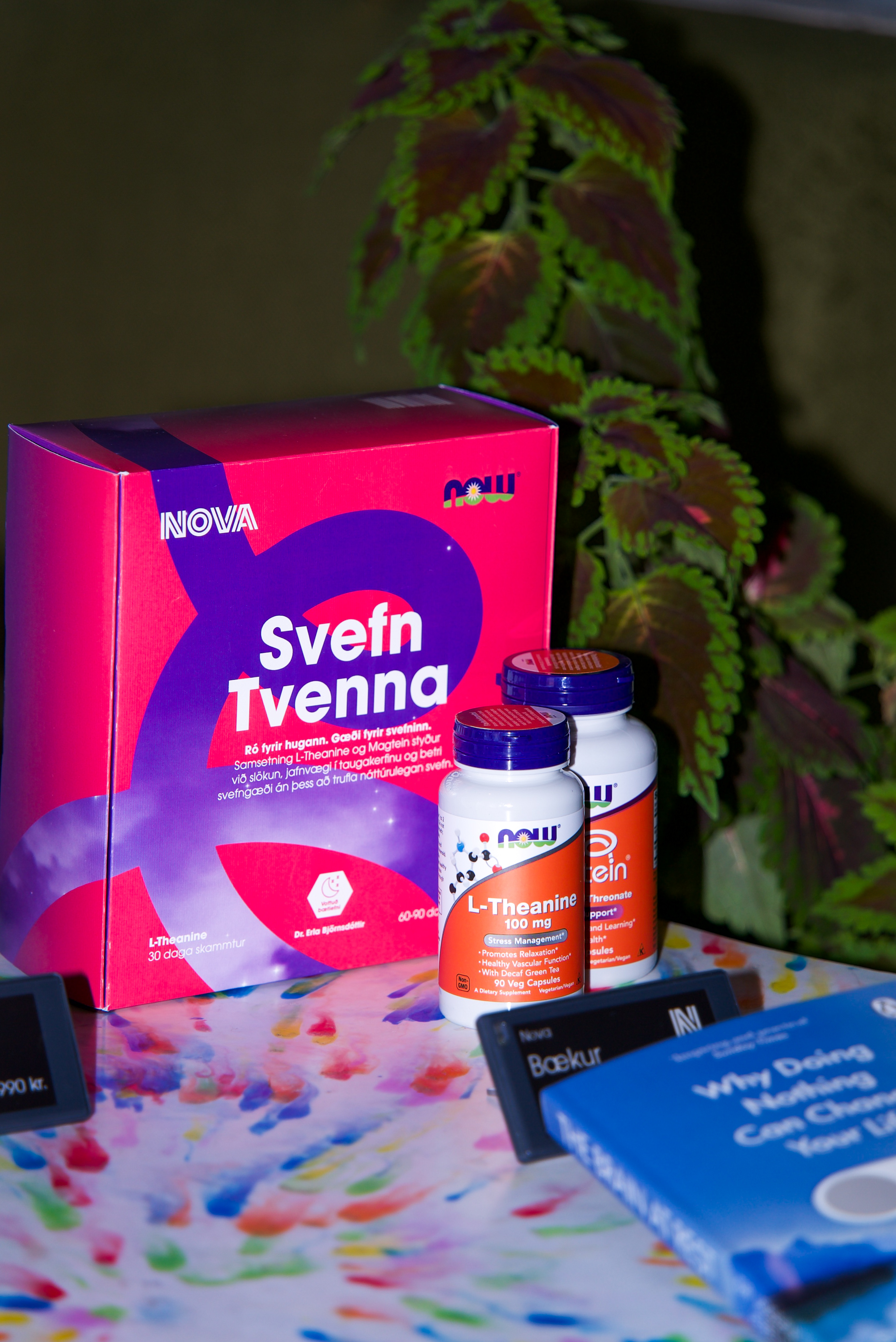 NOVA SVEFN DSC04104