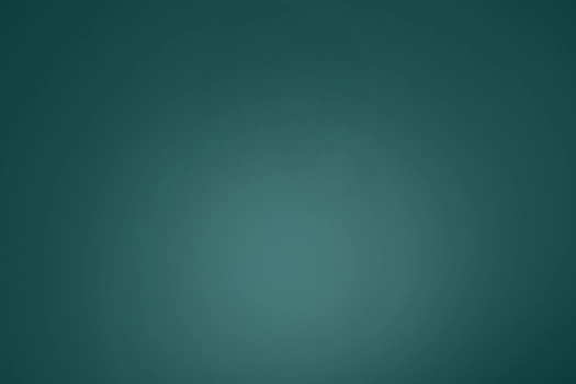 Kaloni2026 K218578 Noname