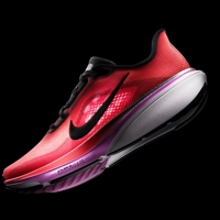 Nike Pegasus 42 Hero